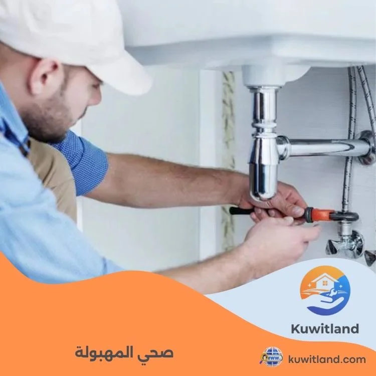 صحي المهبولة